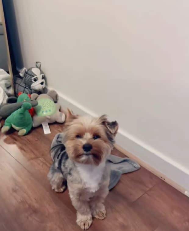 Extra image from article