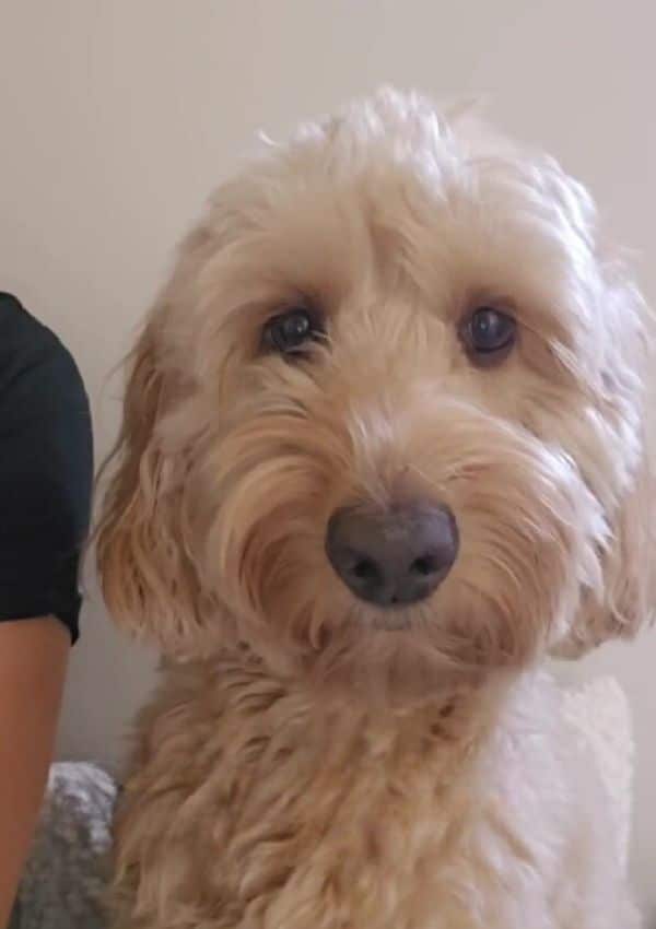 This comical incident struck a chord wit...