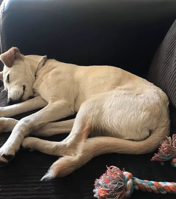 Extra image from article