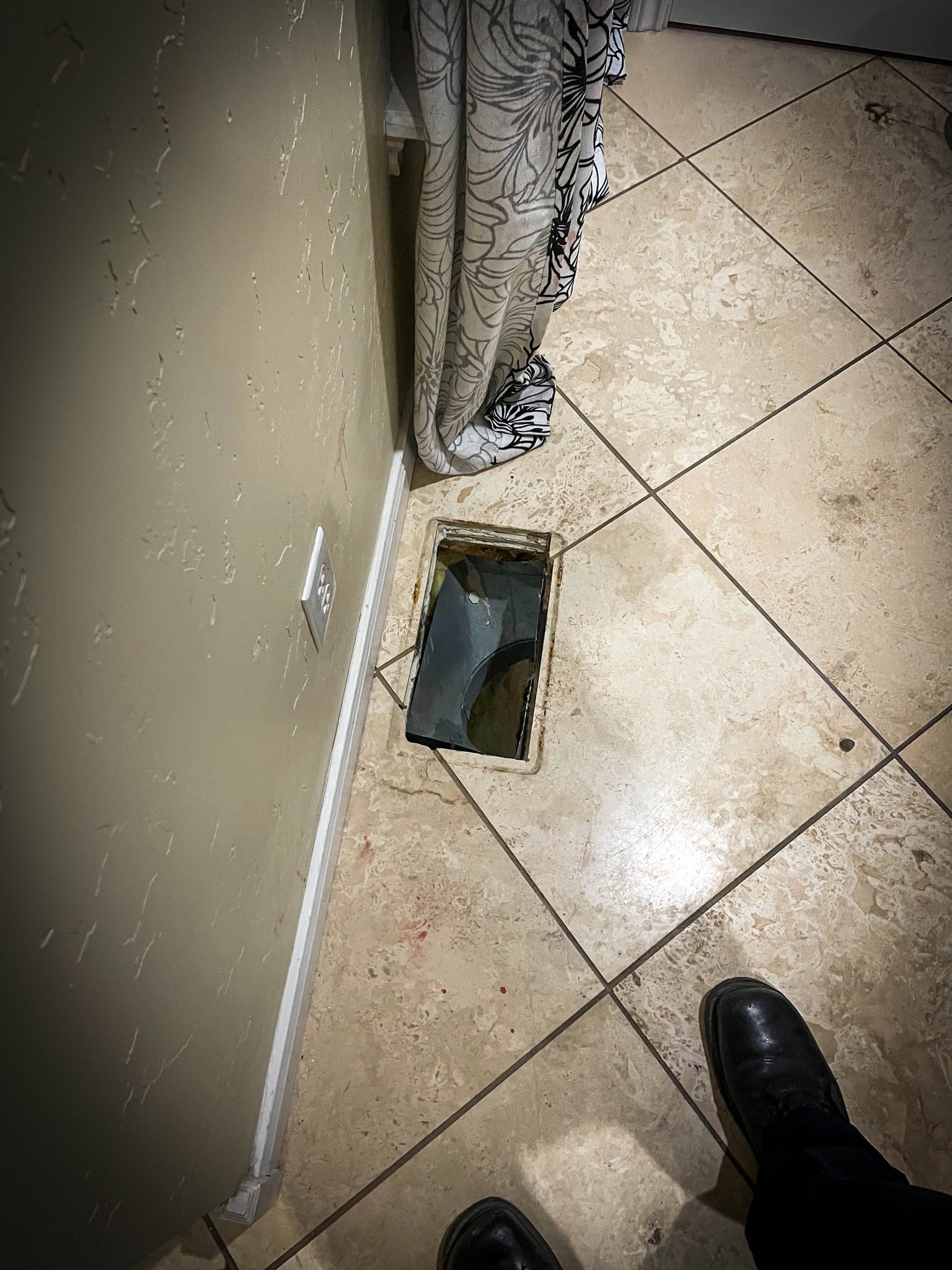 Extra image from article