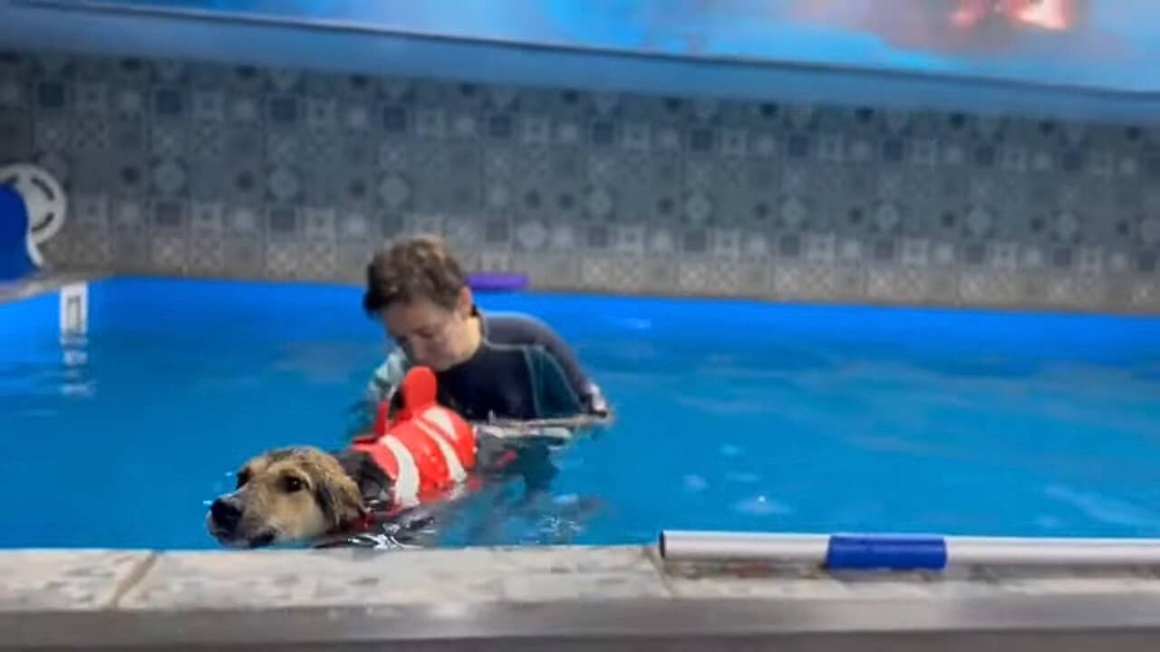 Aurora refused to let her condition damp...