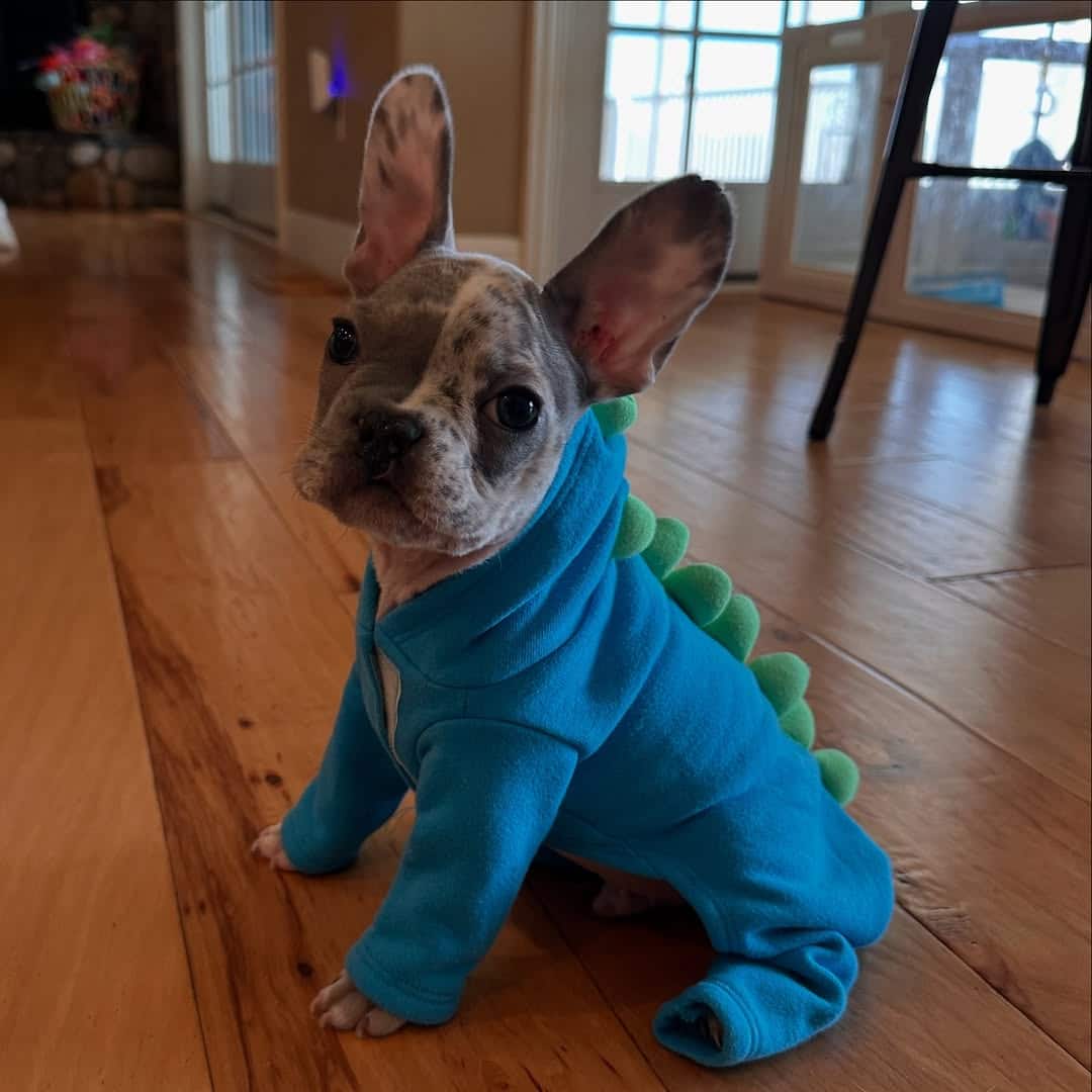 Extra image from article