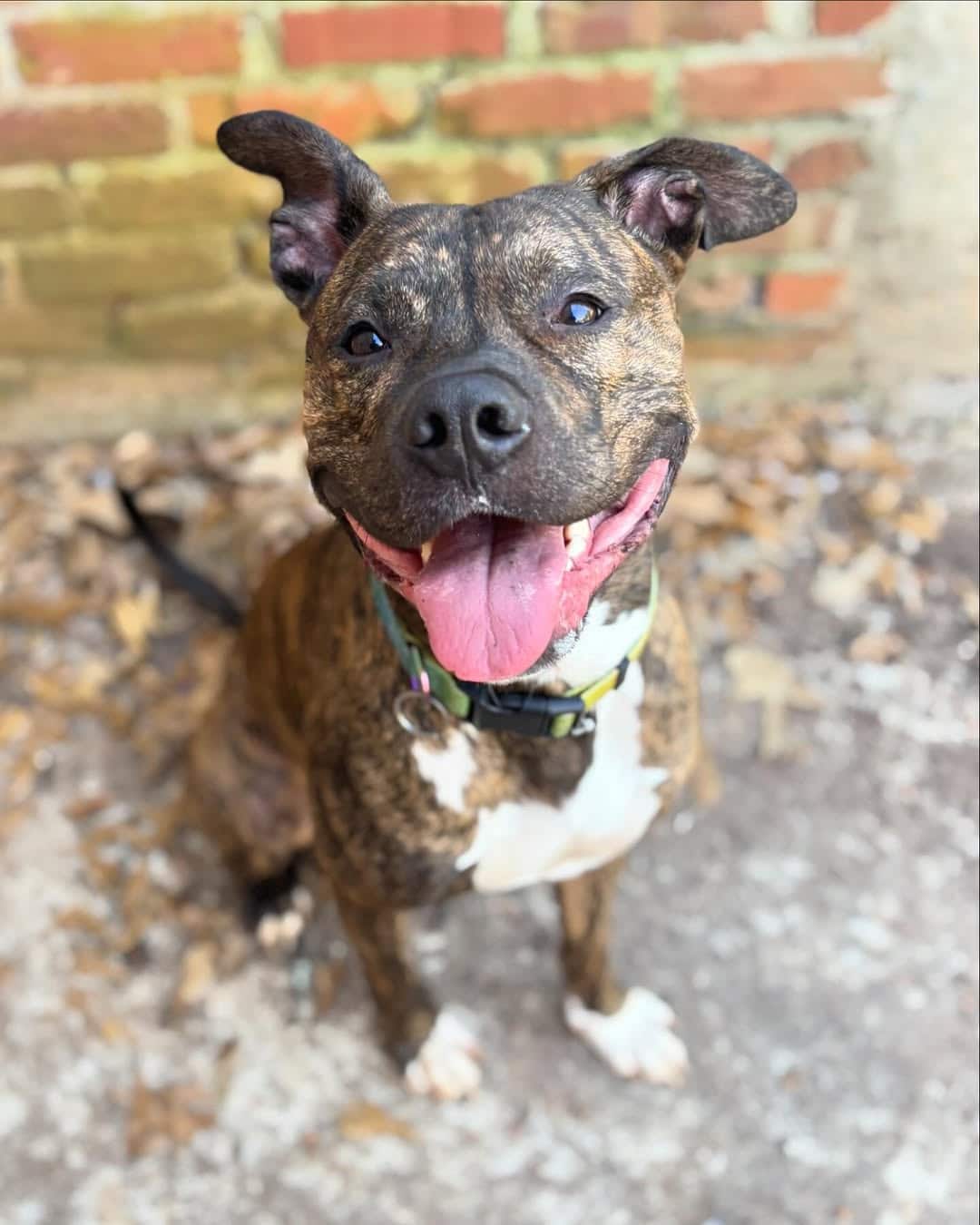 Extra image from article