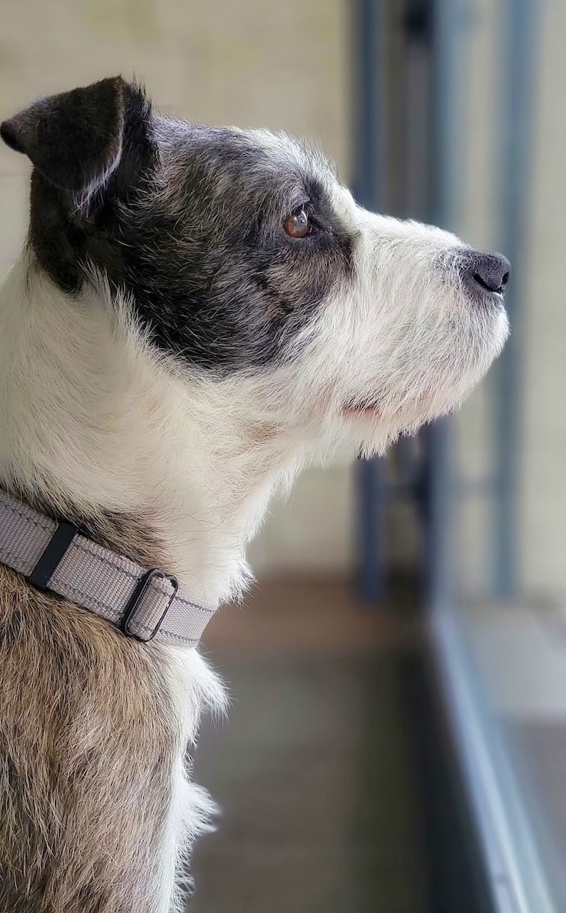 Extra image from article