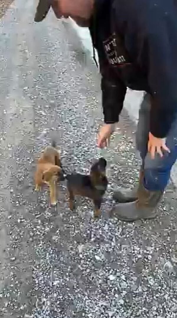 Thanks to the compassion and kindness of...