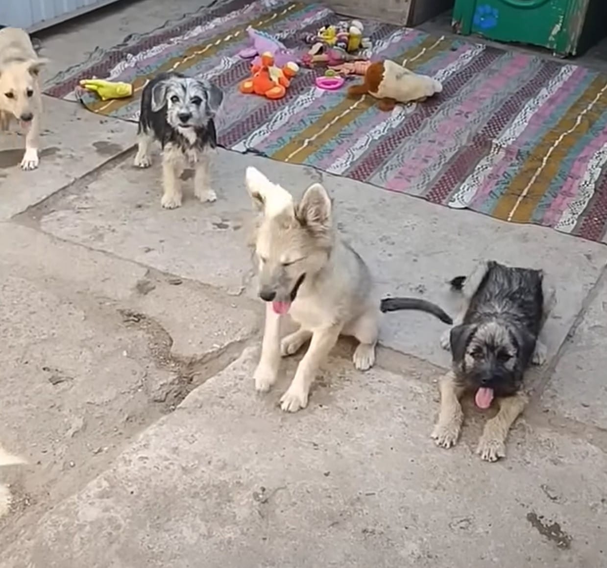 Extra image from article