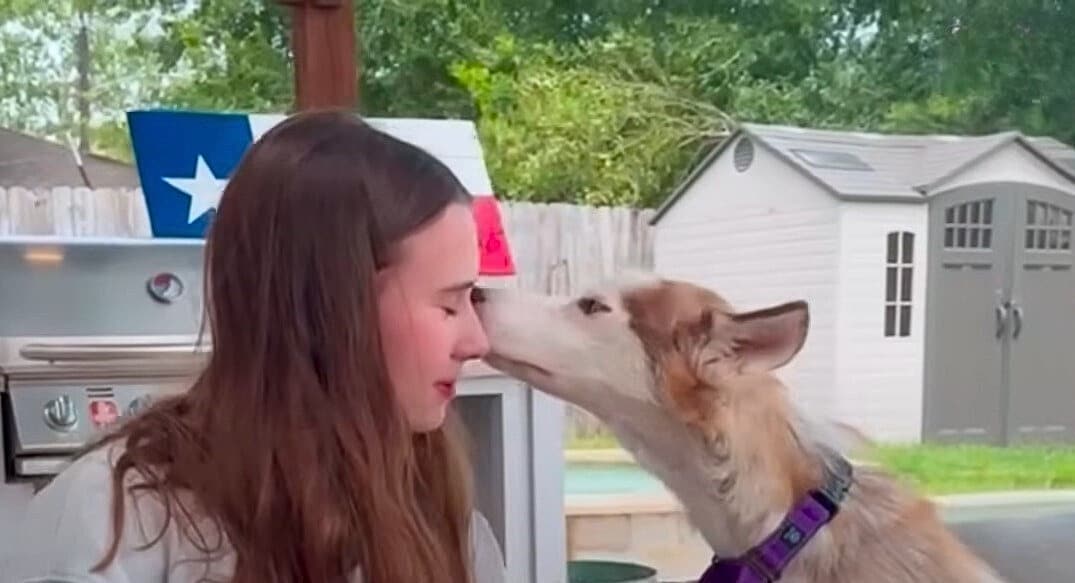 Extra image from article