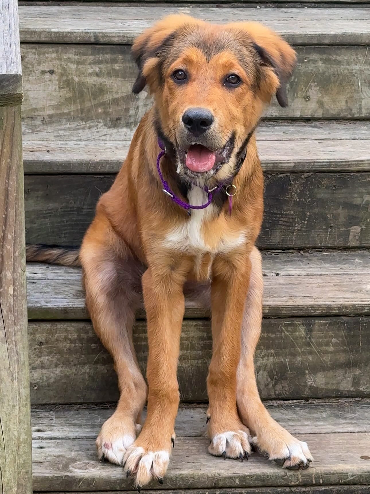 Extra image from article