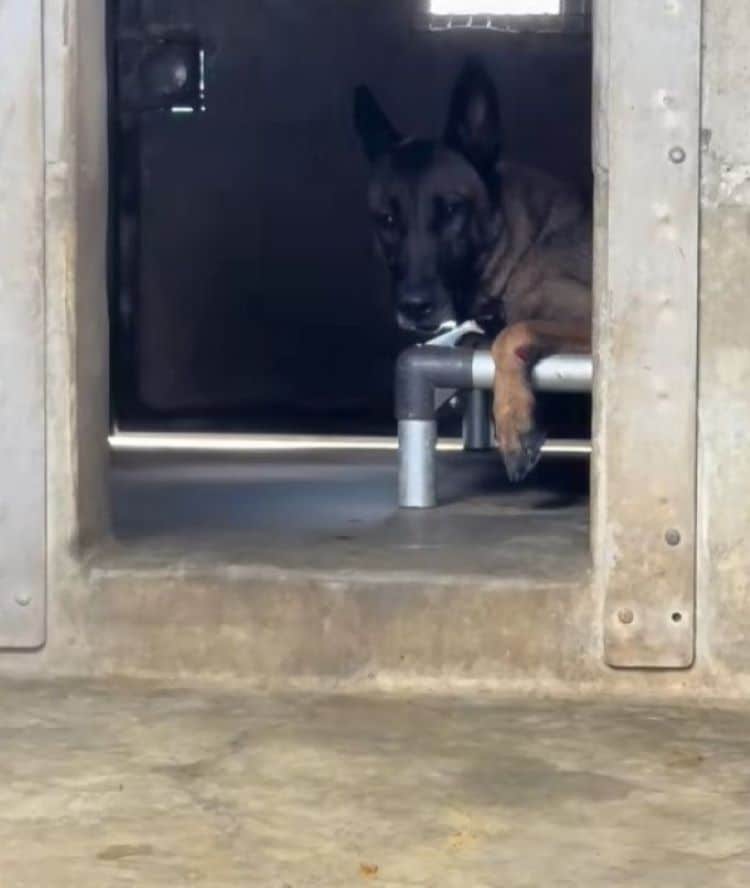 Extra image from article