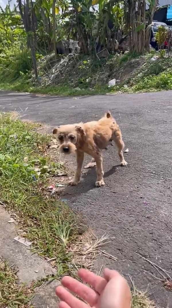 The situation seemed daunting until Tina...