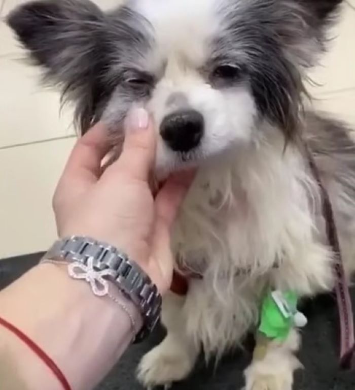 With a promising recovery ahead, Tikhon’...