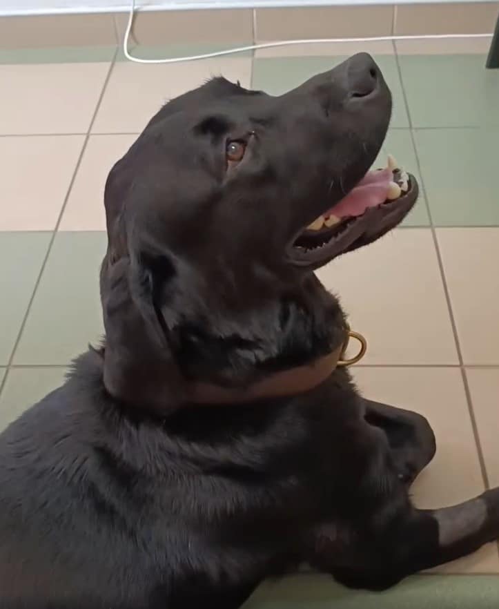 Extra image from article