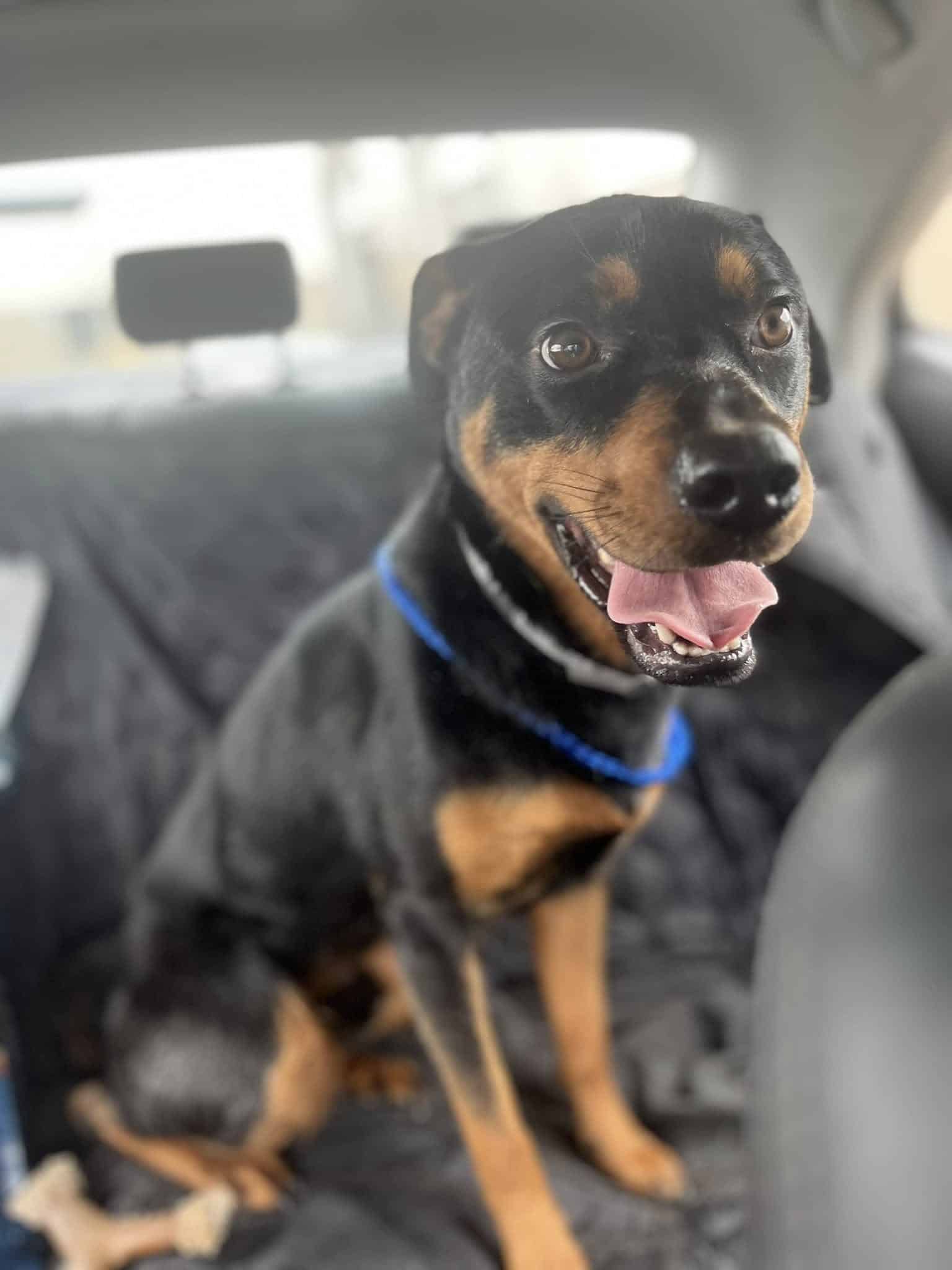 Extra image from article