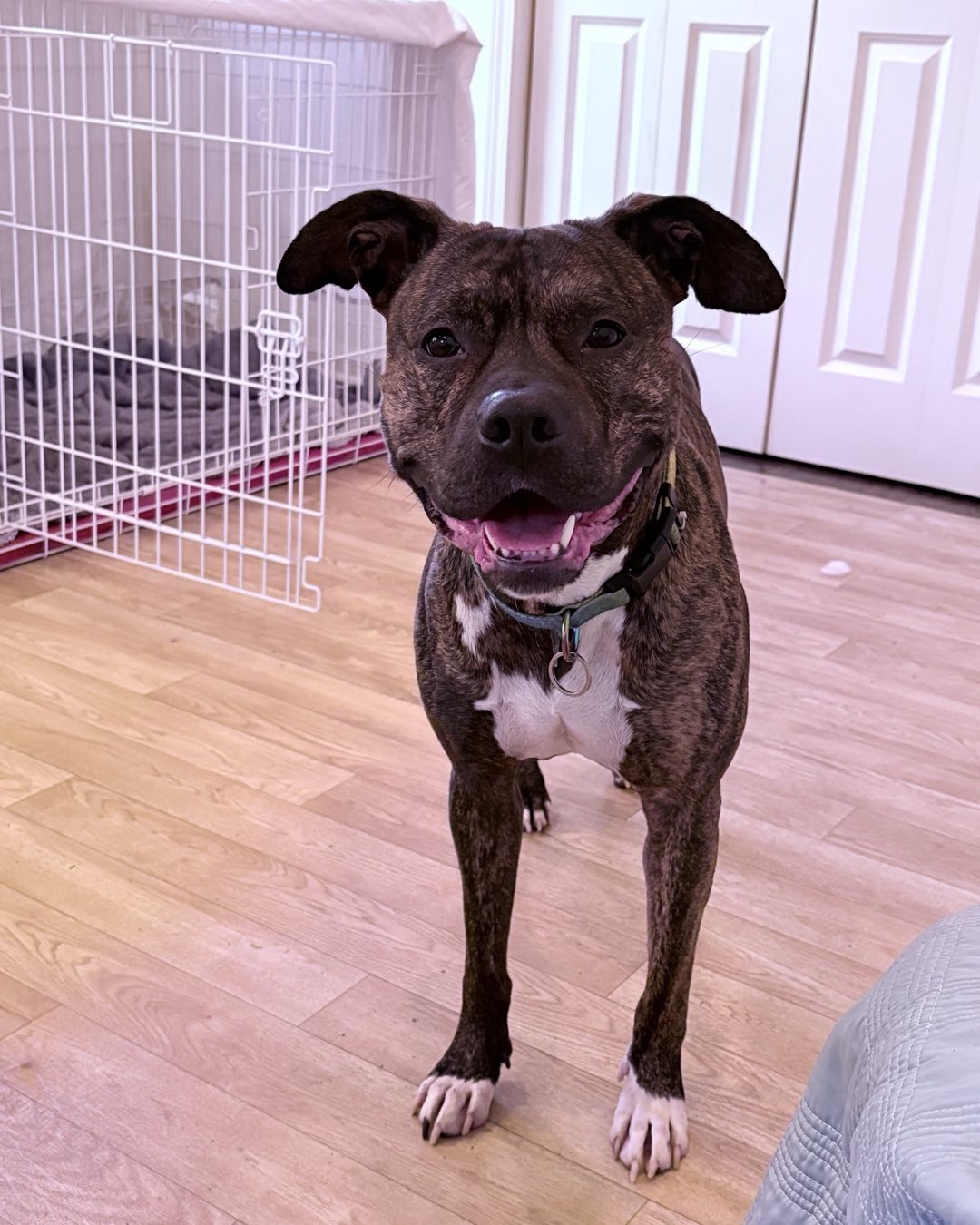 Extra image from article