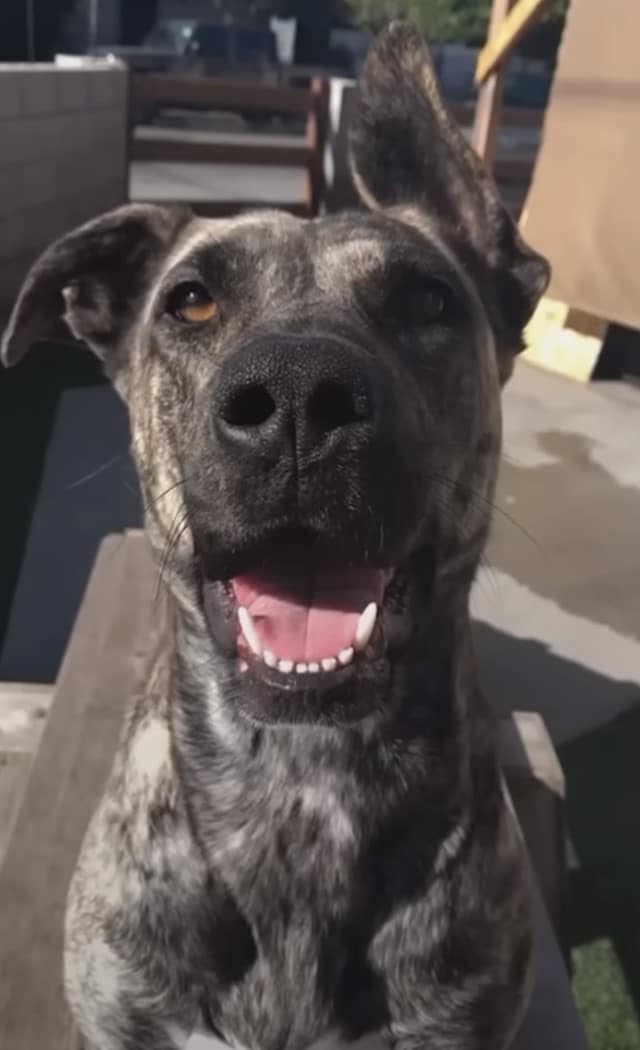 Extra image from article