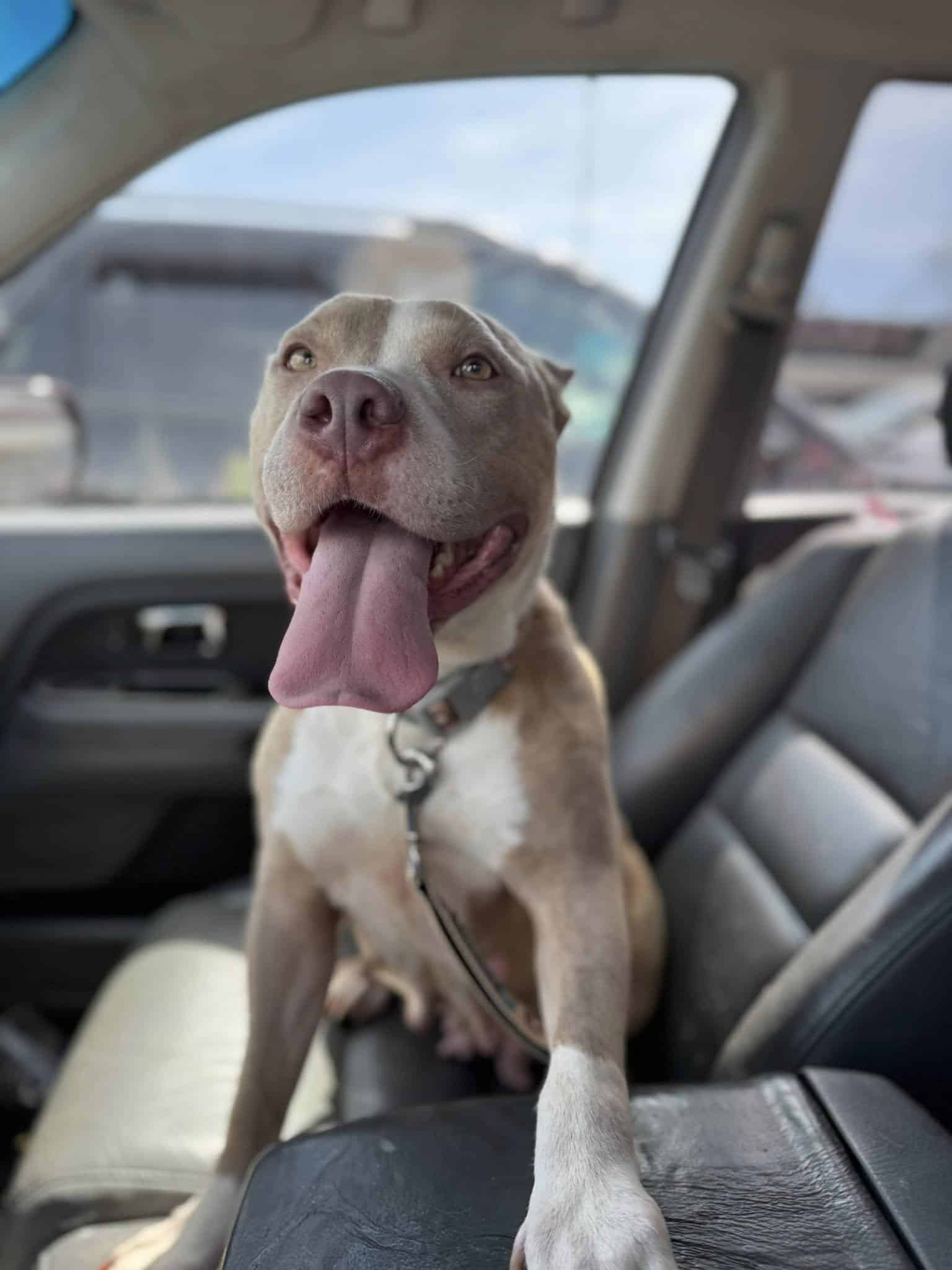 Extra image from article