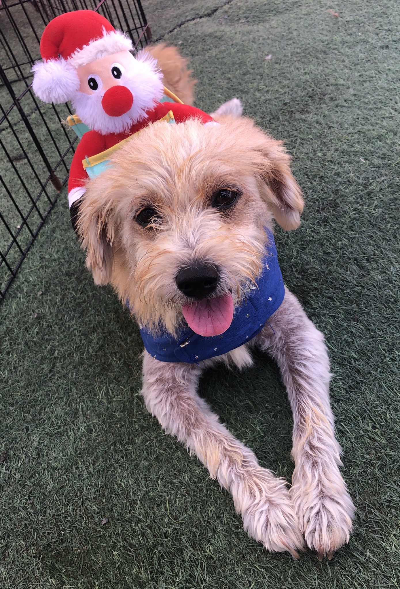 Extra image from article