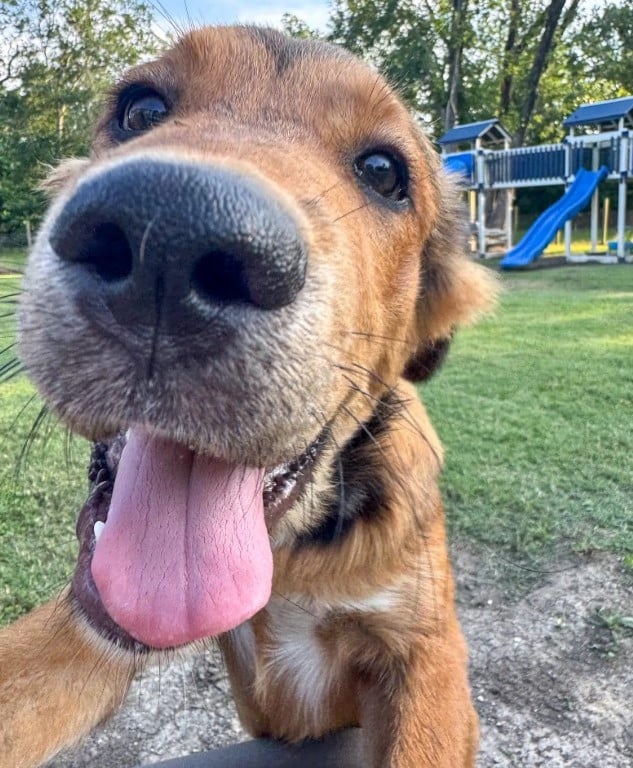 Extra image from article