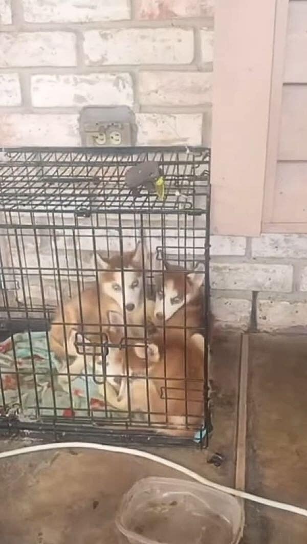 Extra image from article