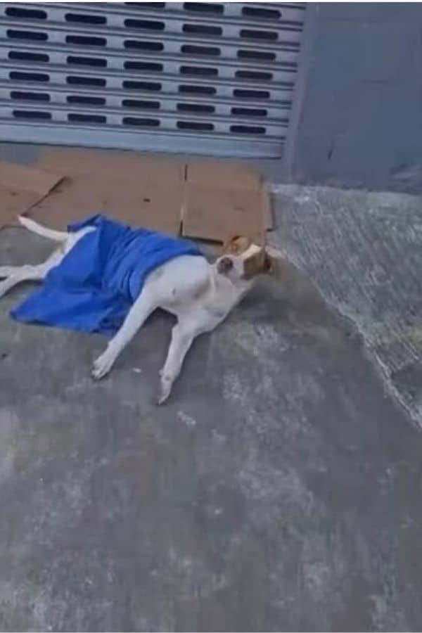 With a new family that accepted him whol...