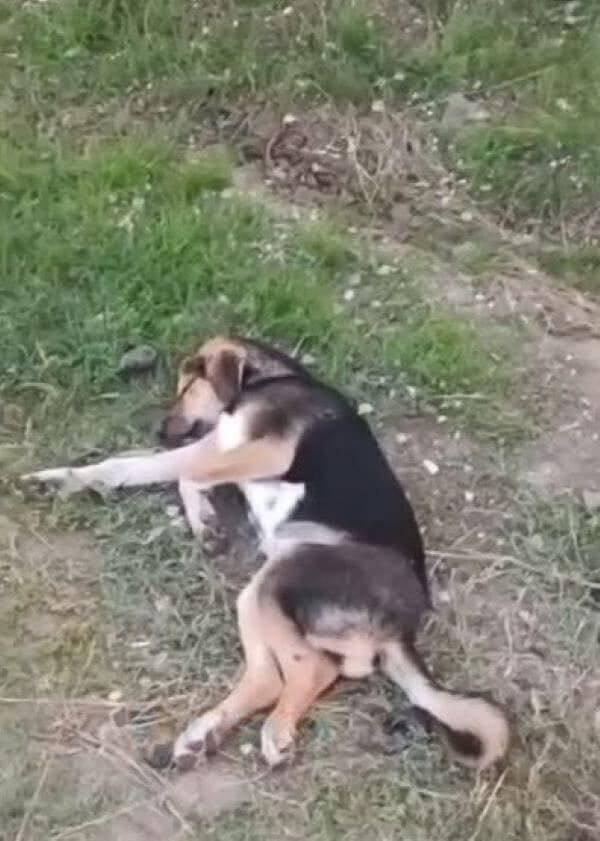 Arriving after night had fallen, they we...