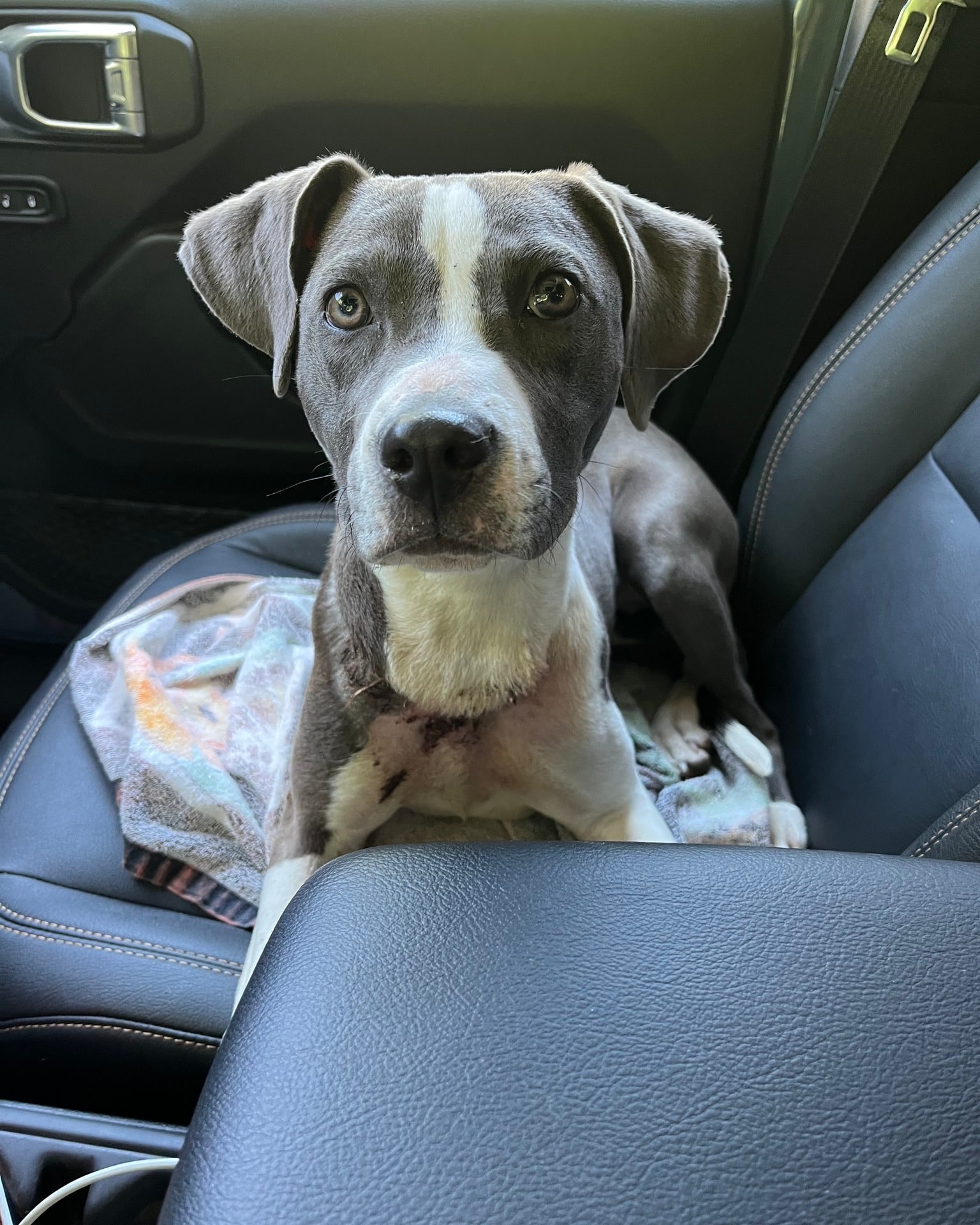 Extra image from article