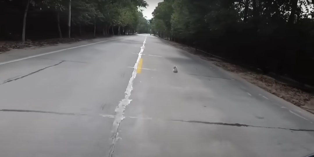 Watching the bond form, the man realized...