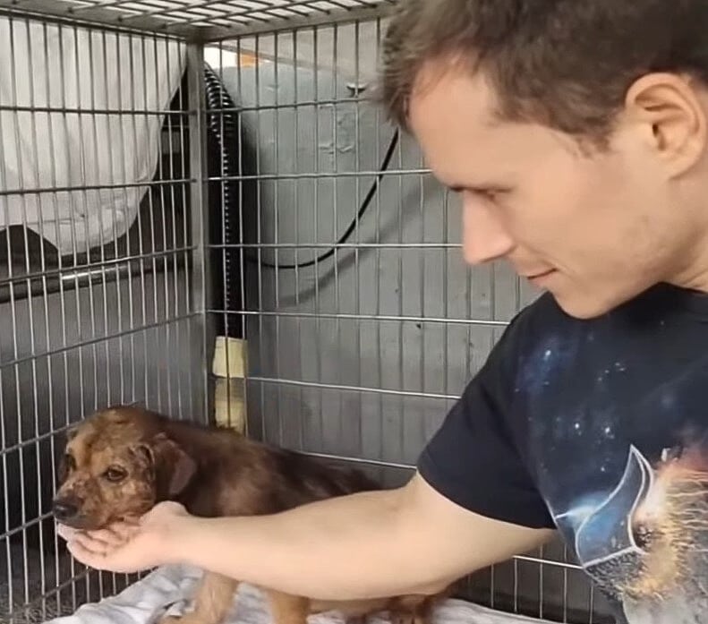 Extra image from article