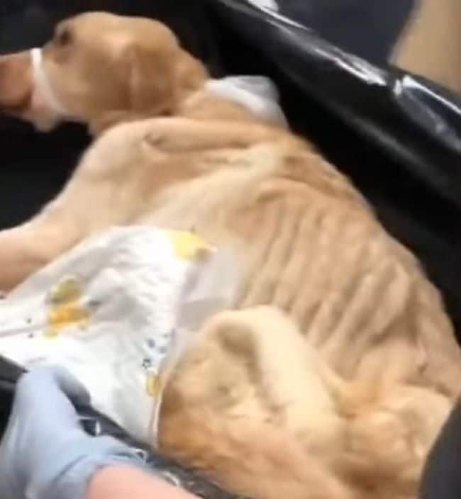 Extra image from article