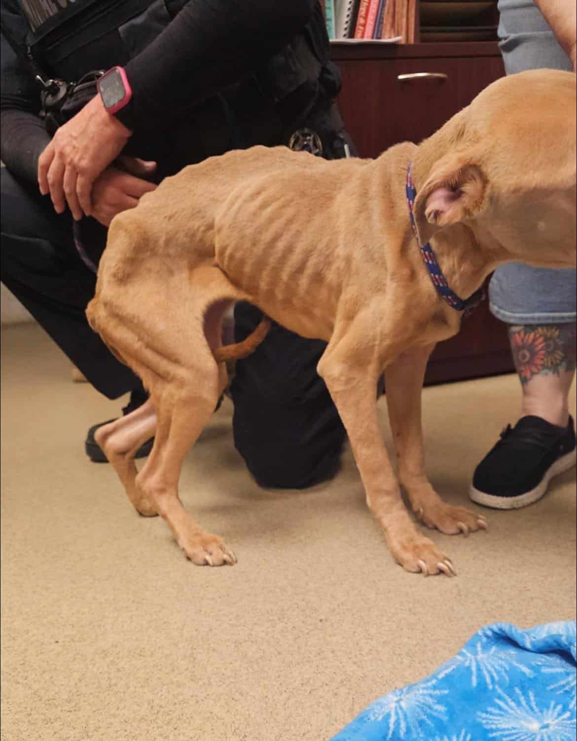 Extra image from article