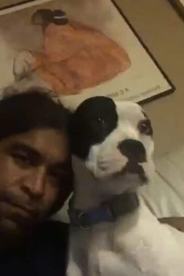 Extra image from article