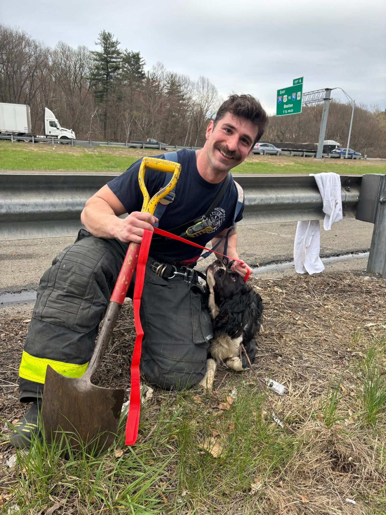 Extra image from article