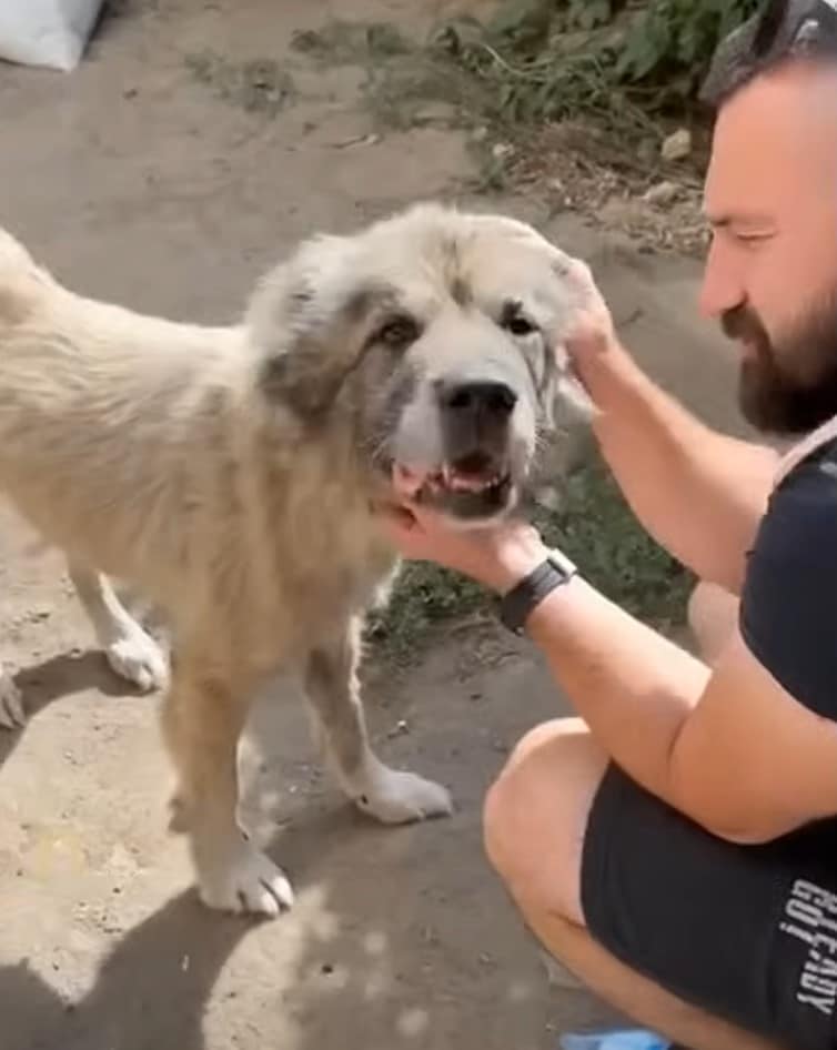 Extra image from article