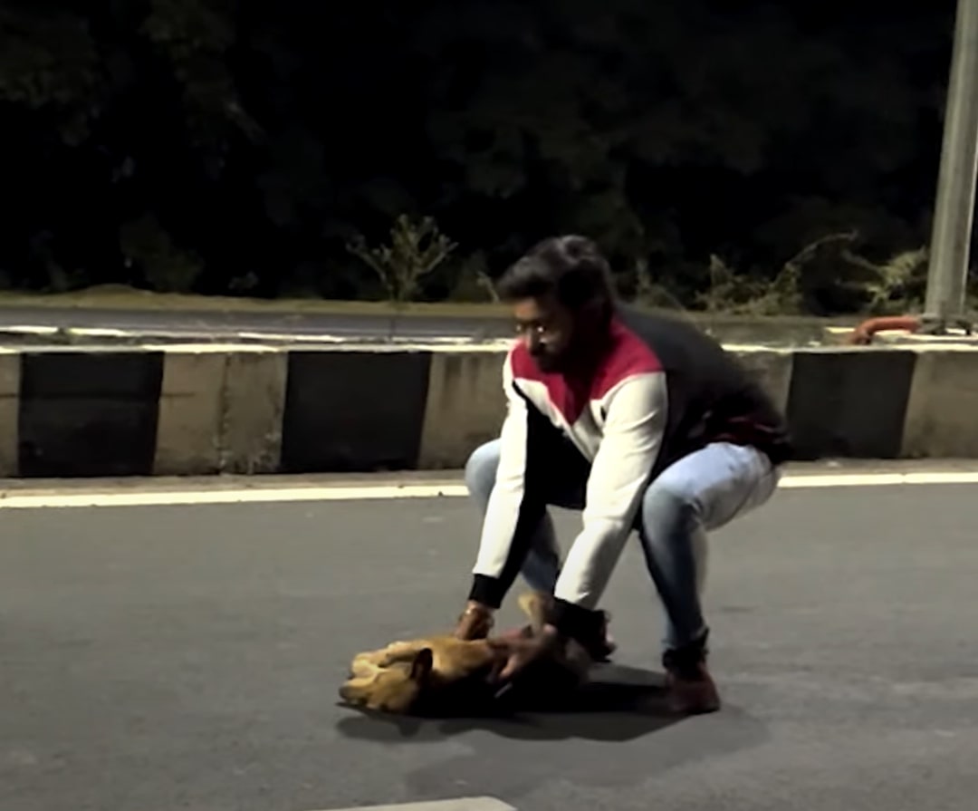 Extra image from article