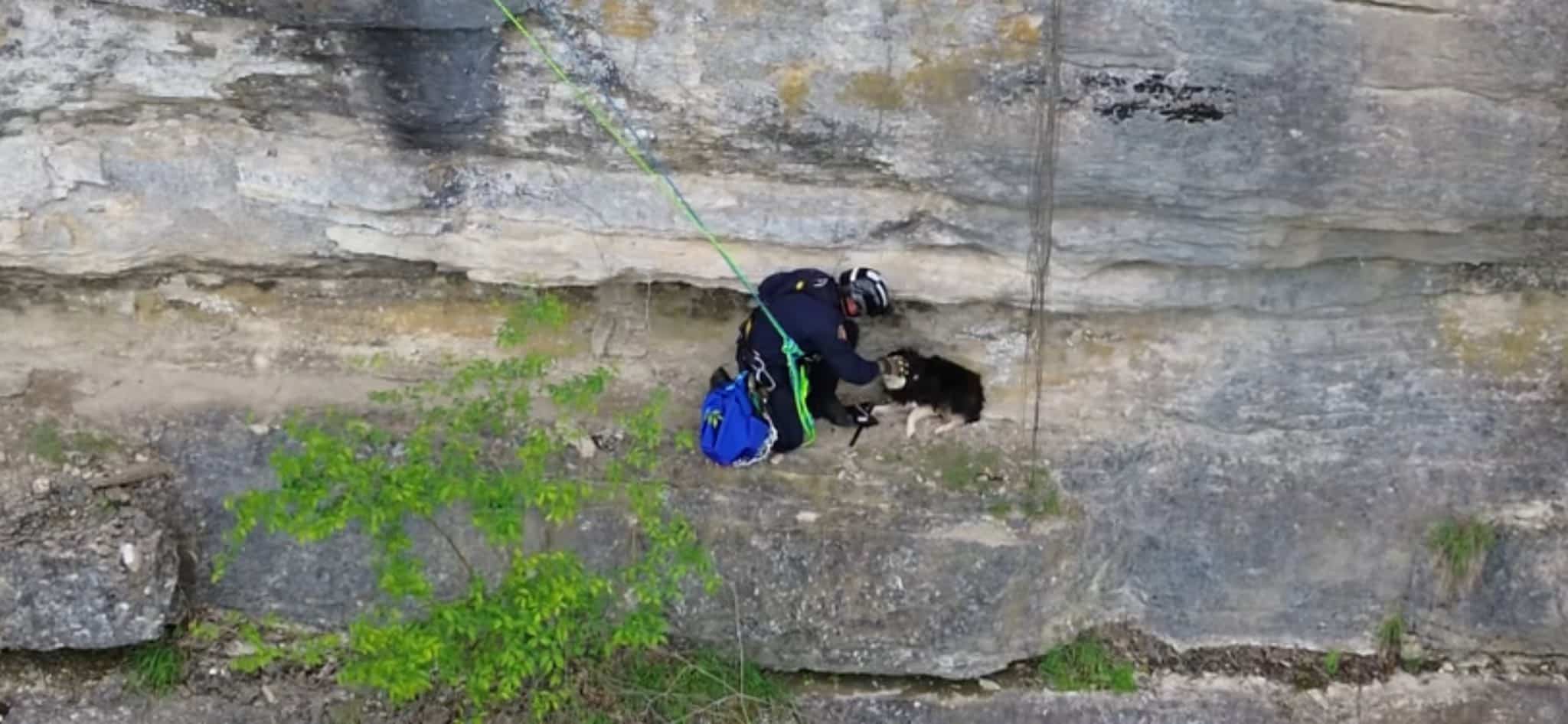 Extra image from article