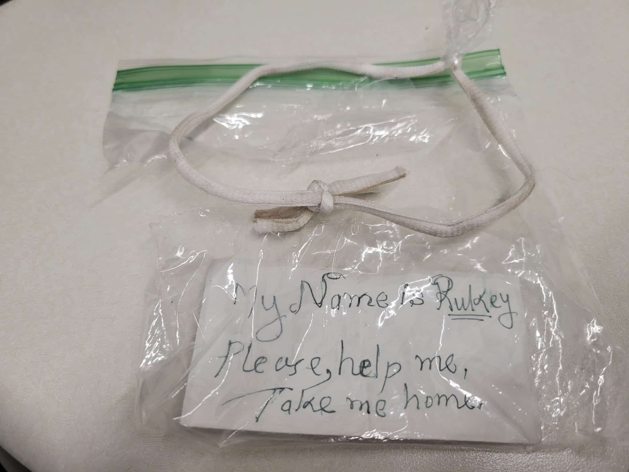 Extra image from article