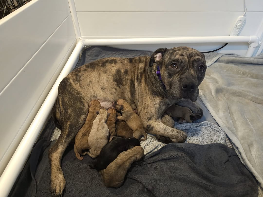 Extra image from article