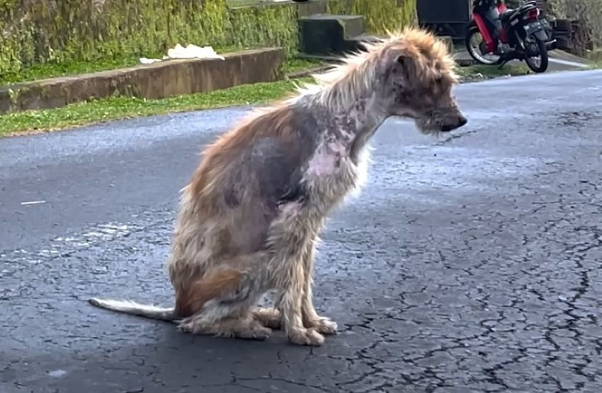 Upon reuniting with his family, Bojess w...