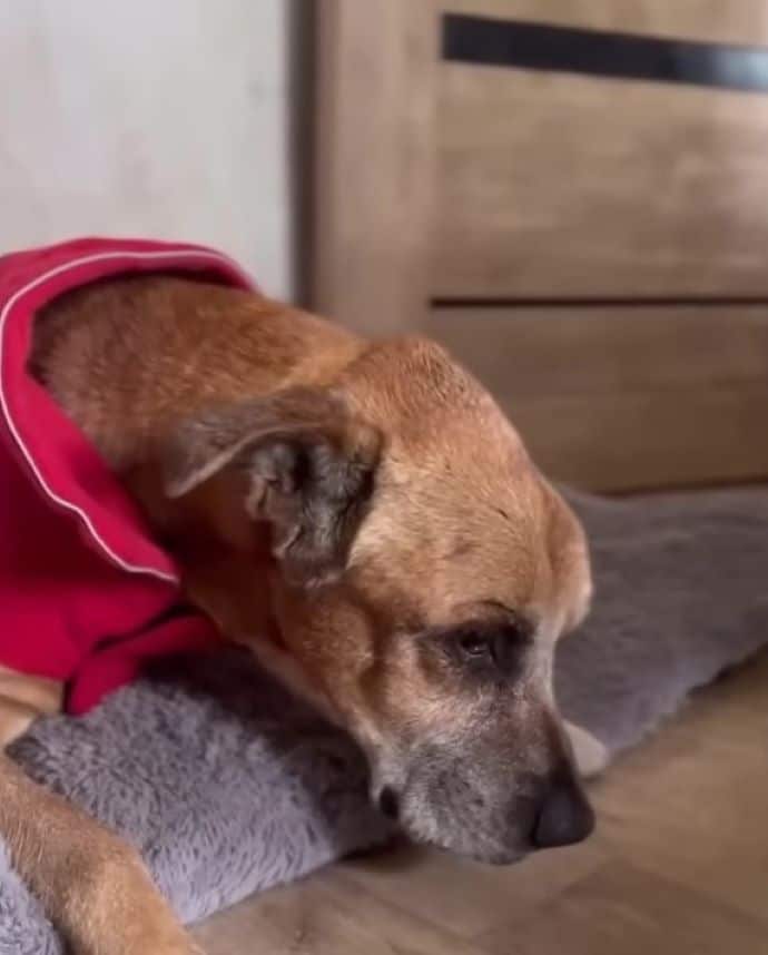 Extra image from article