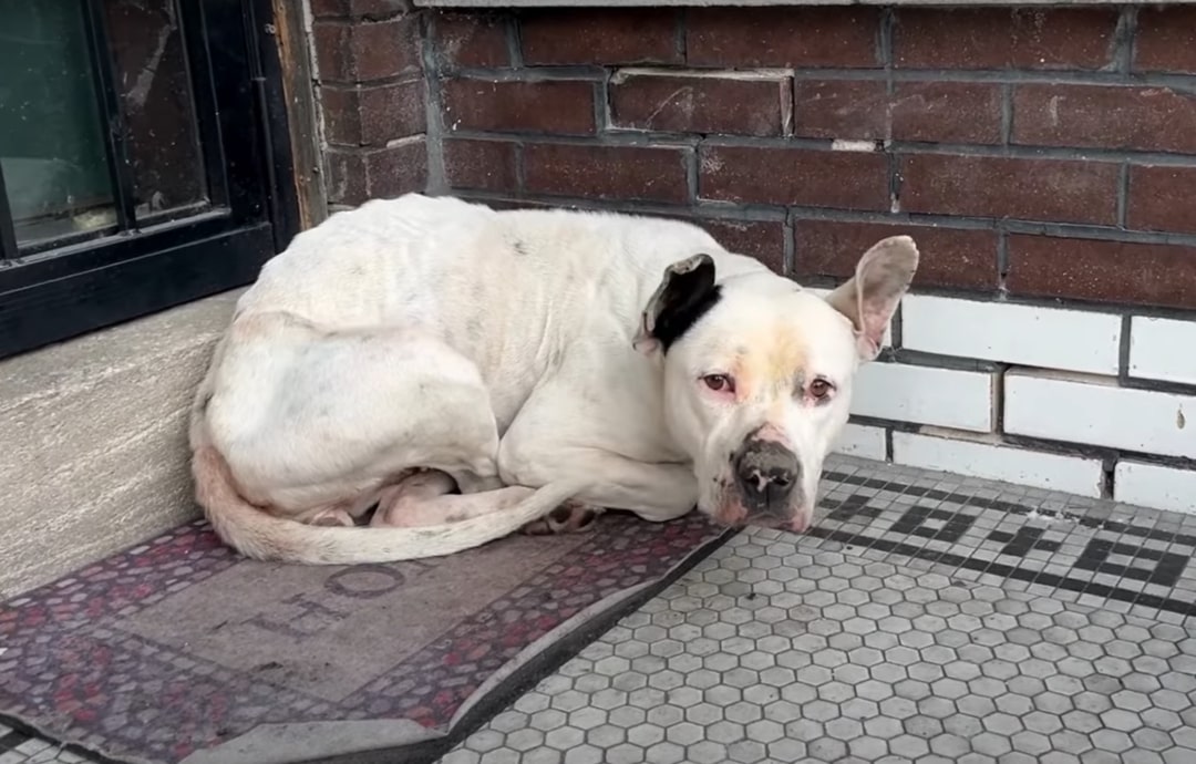 Extra image from article