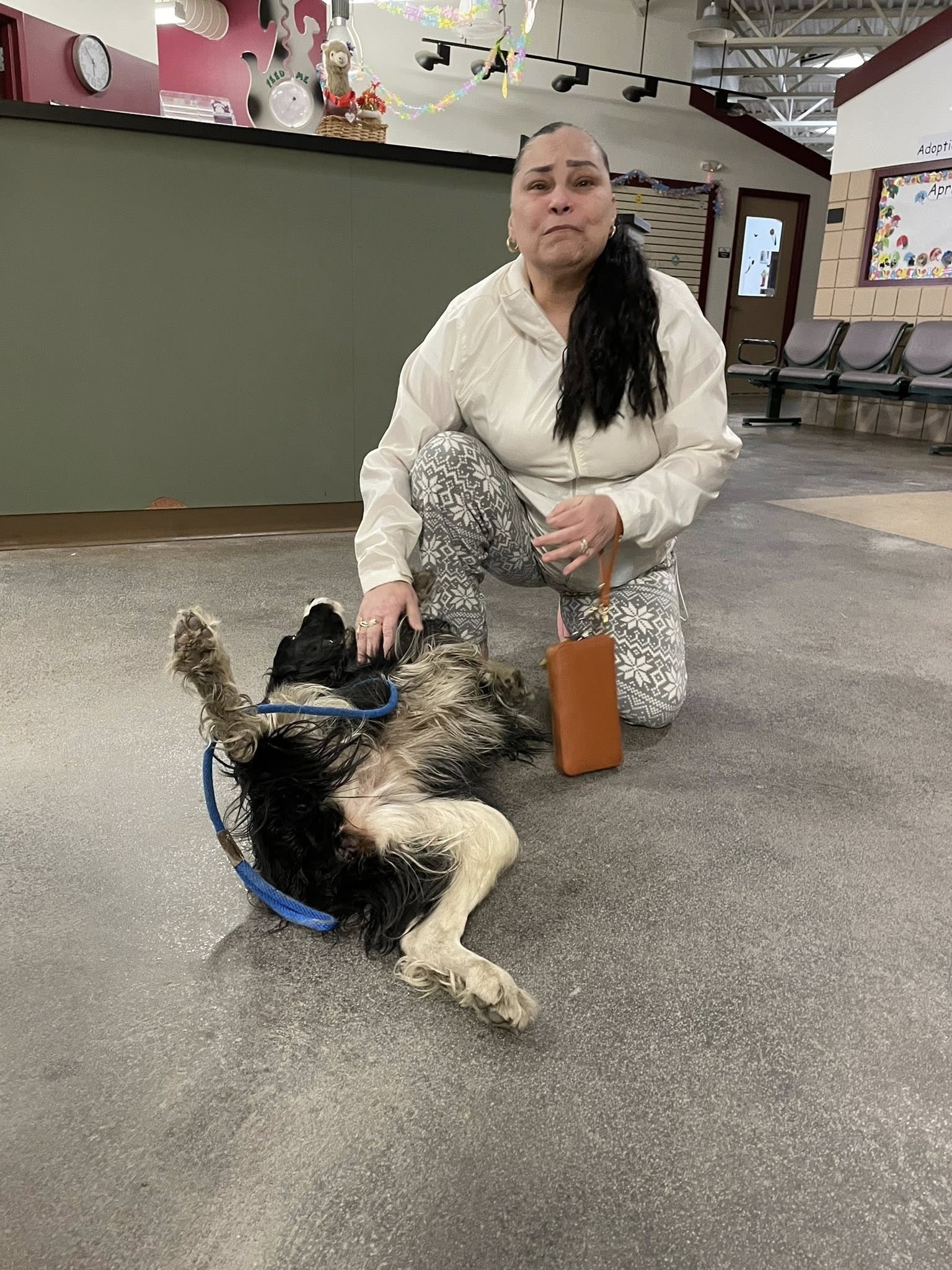 Extra image from article