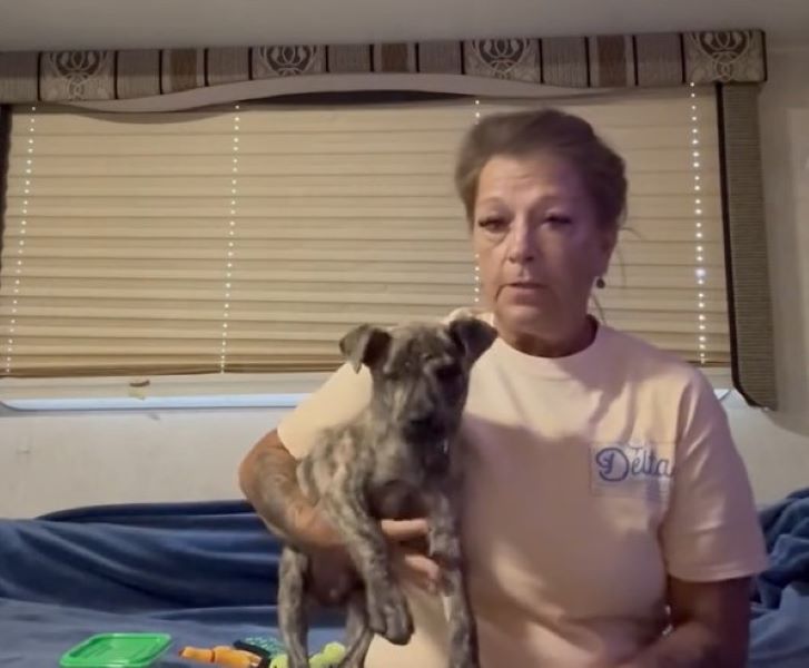 Extra image from article