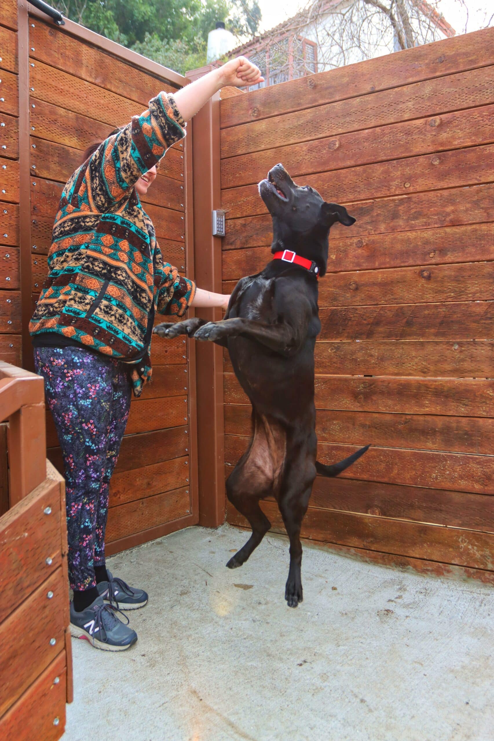 Extra image from article