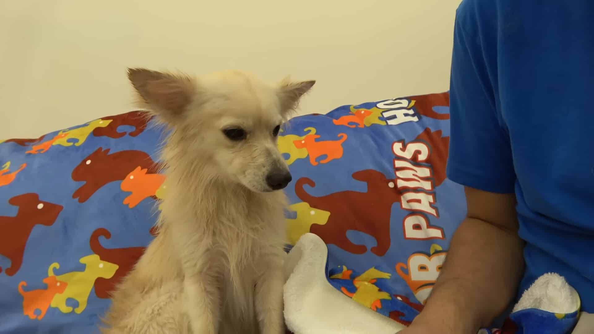 Extra image from article