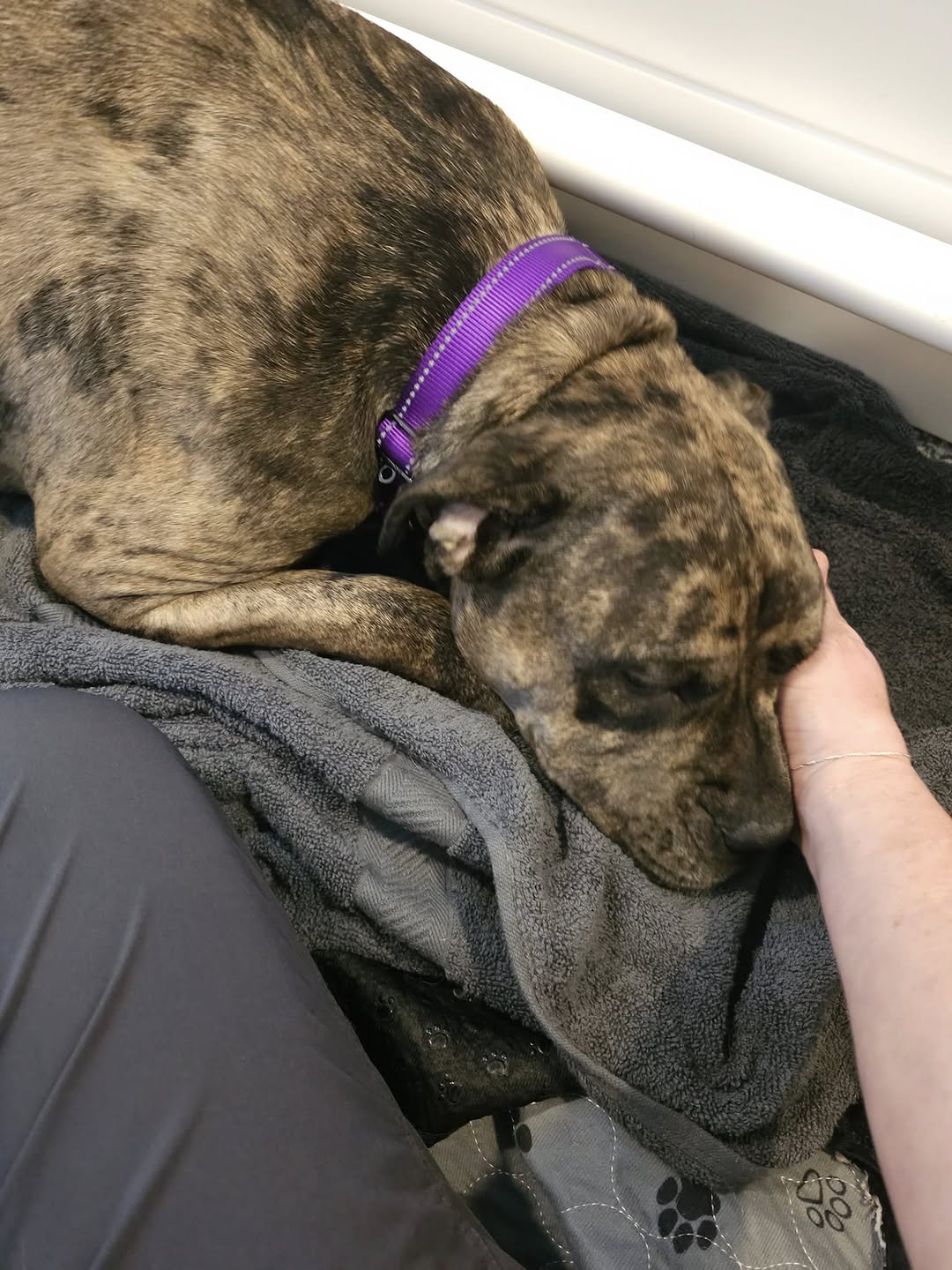 Extra image from article