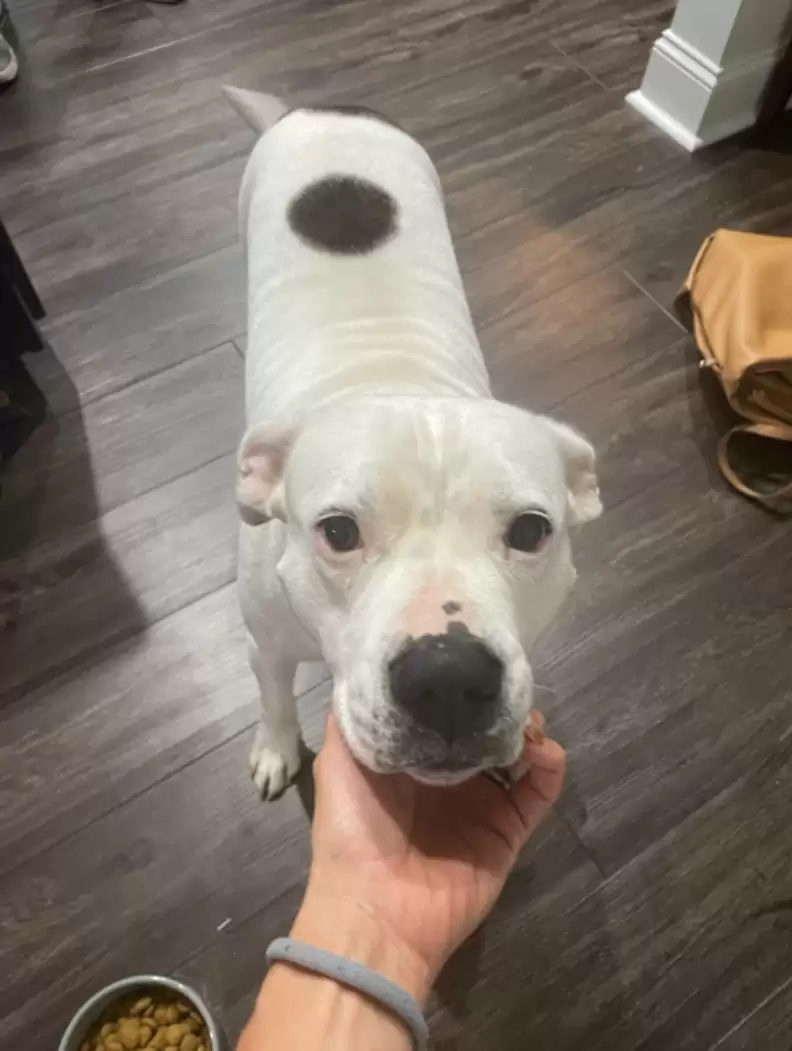 In the video, the organization said: We ...