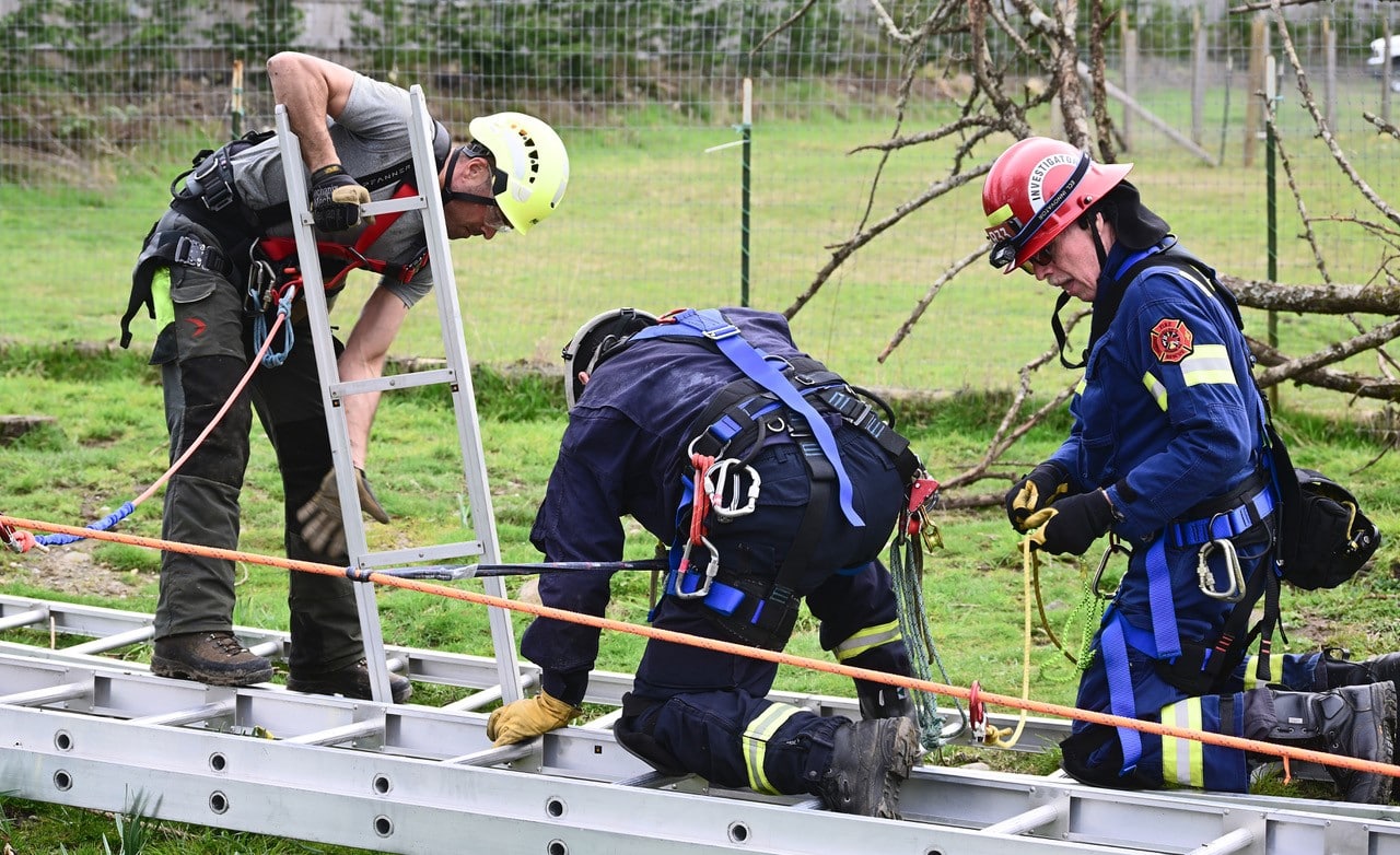 Extra image from article