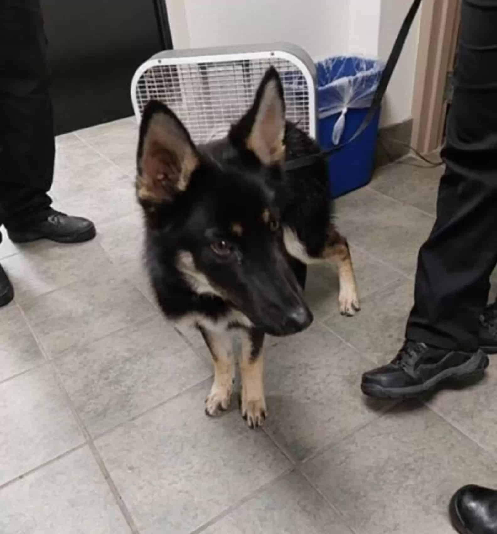 Extra image from article