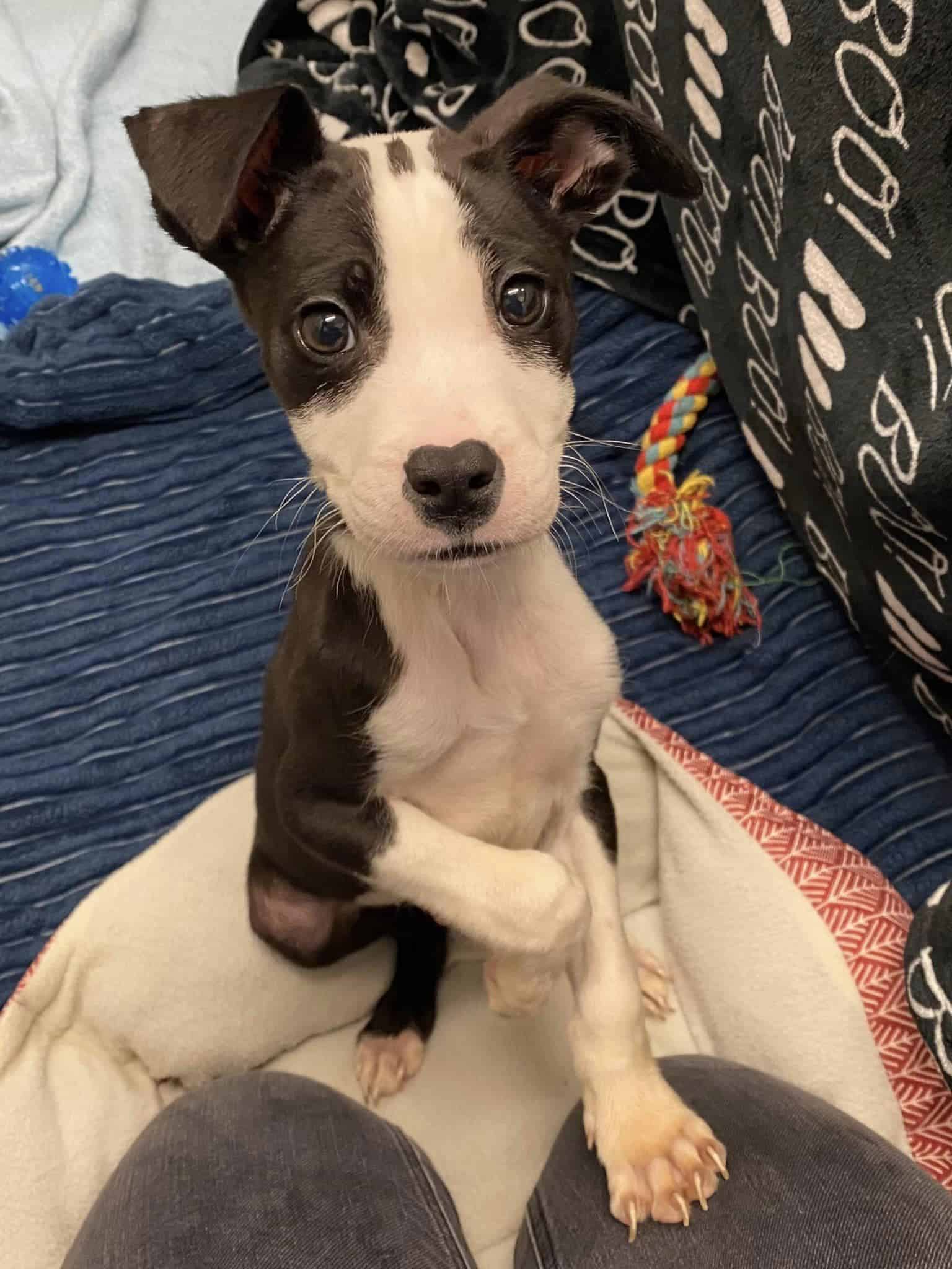 Extra image from article