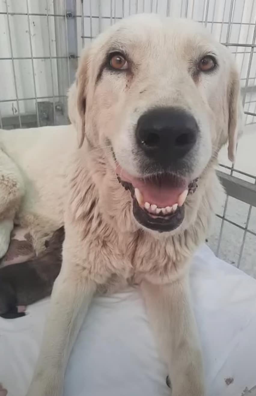 Extra image from article